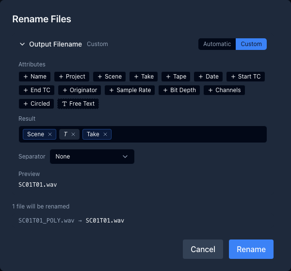 The Rename dialog with a custom output filename template