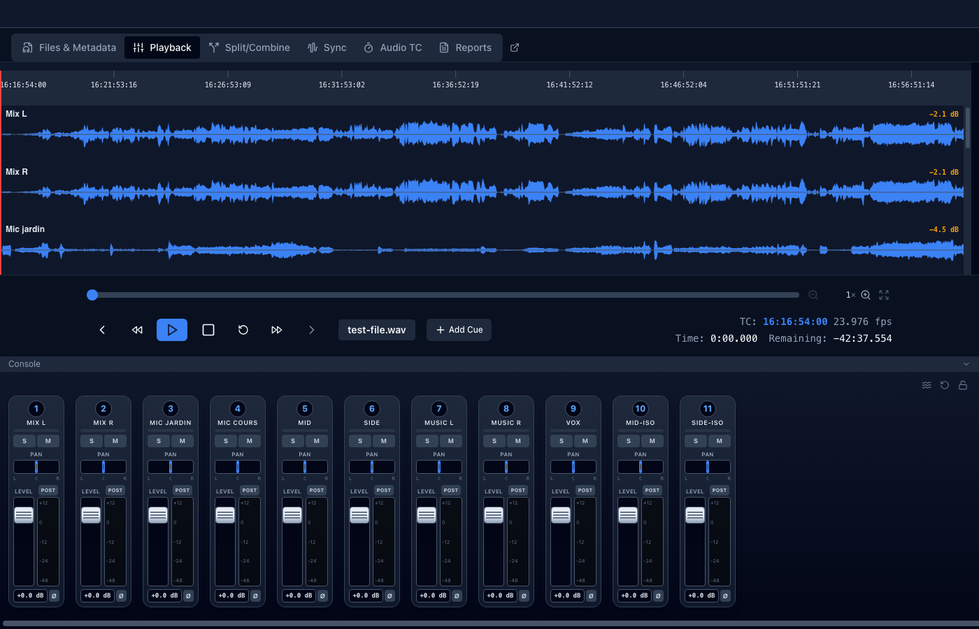 The Playback tab: waveform lanes and timecode ruler above, transport and mixer below