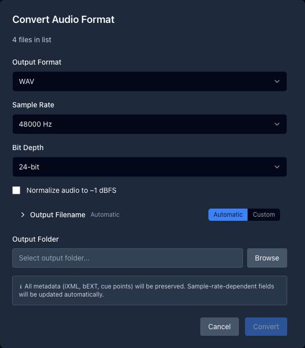 The Convert Audio Format dialog